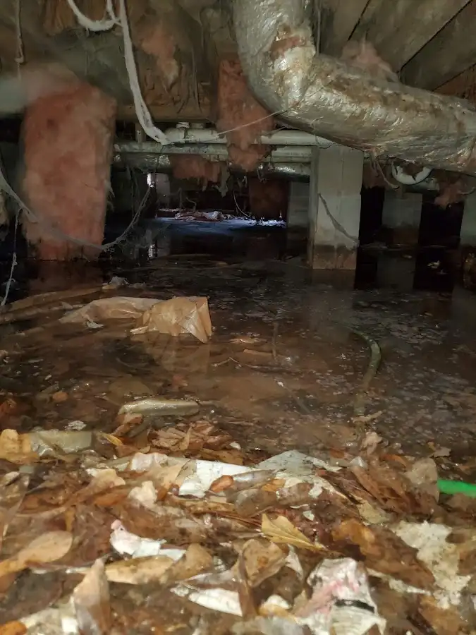 Crawl space flood assessment for Commercial Water Damage Restoration in Mount Pleasant